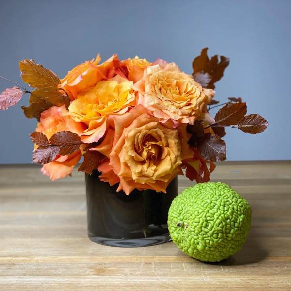 Orange roses in a black vase with brown leaves and a green osage orange fruit