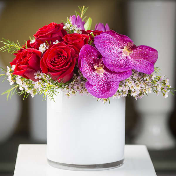Red roses and purple orchids in a white vase