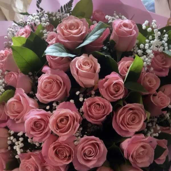 Large bouquet of pink roses with white baby's breath accents in pink wrapping paper