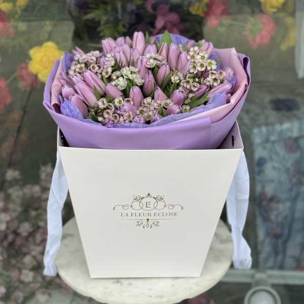 50 Lavender Tulips