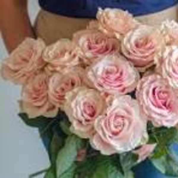 1 dozen pink mondial rose bouquet in a vase