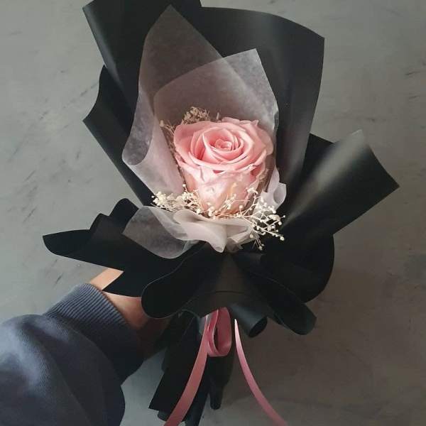 Single pink rose wrapped in black paper with a pink ribbon