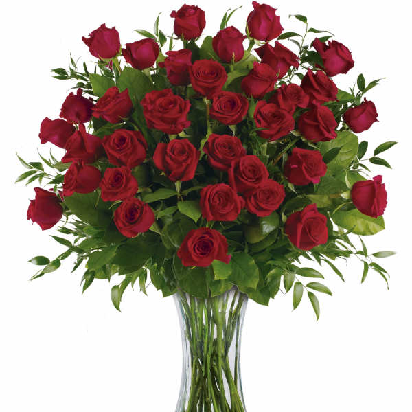 Breathtaking Beauty - 3 Dozen Long Stemmed Roses