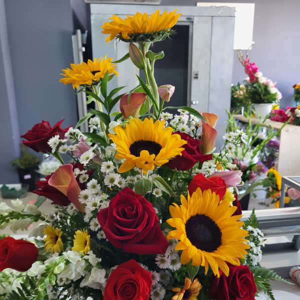 Girasoles rosas daisies montecacino