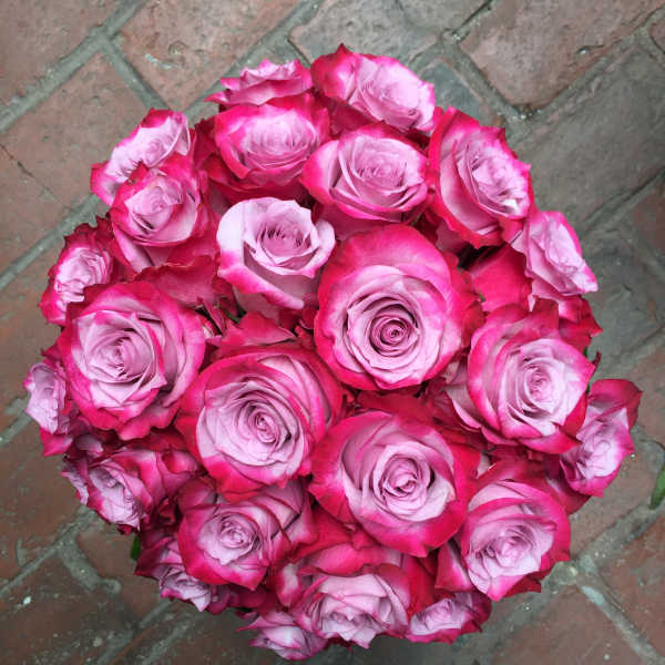 Round bouquet of pink roses with pale centers
