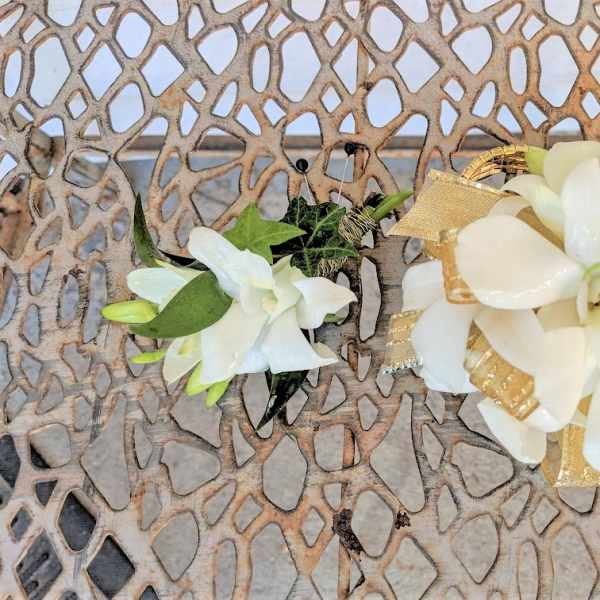 Gold & White Dendrobium Combo