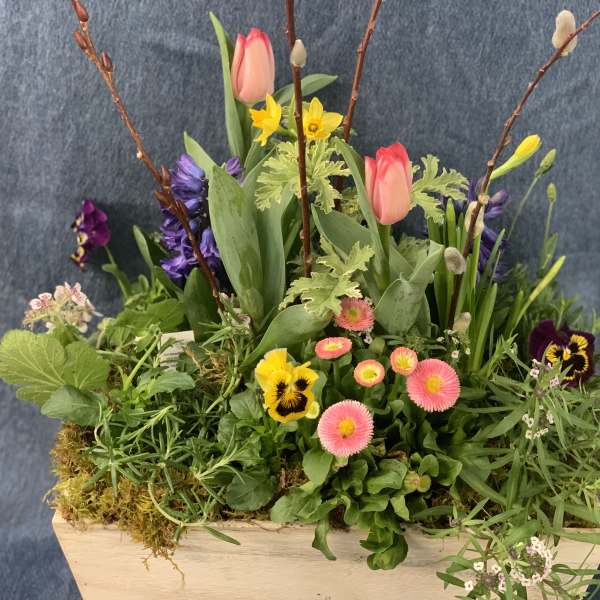Spring planter with pink tulips, yellow daffodils and mixed blooms in a wooden box