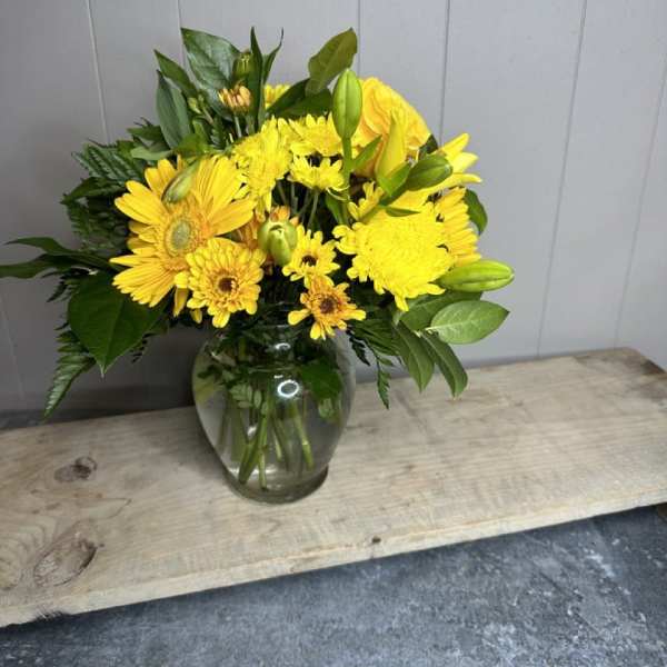 Monochromatic Medley