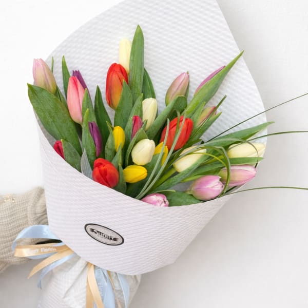 2 Dozen Hand-Tied Tulip Bouquet
