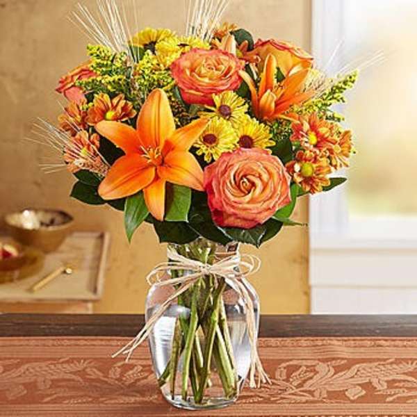 Fields of Europe For Fall