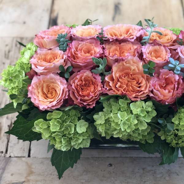 Peach and pink roses arranged with green hydrangeas in a low rectangular container