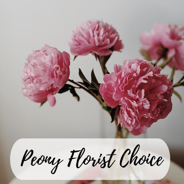 Pink peony blooms with a florist choice label