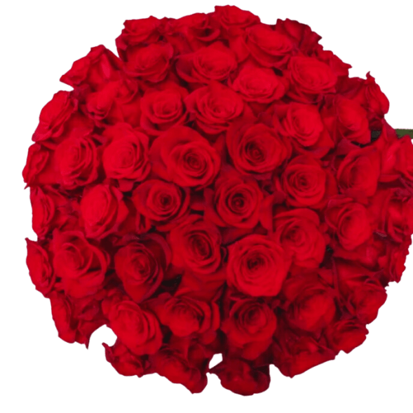 The Luxe Romance - 50 Long-Stem Red Roses by Donya's Florals