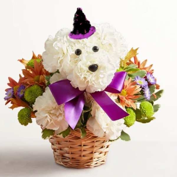 Witchy Pooch Purple (1800 design)