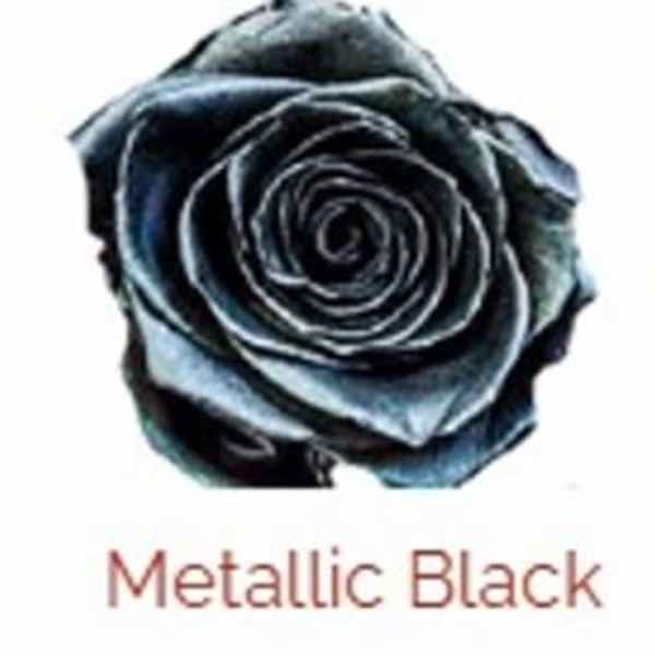 Moonlit Night (Bundle Option Available) AVAILABLE OCT 29-31 LIMITED