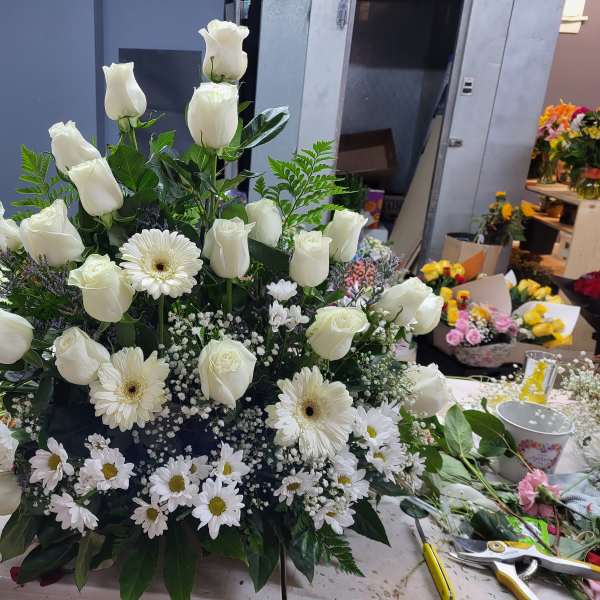 Rosas guerberas daisies