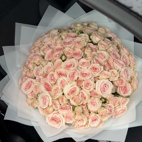 Bouquet of Pink Spray Roses in White Wrapping