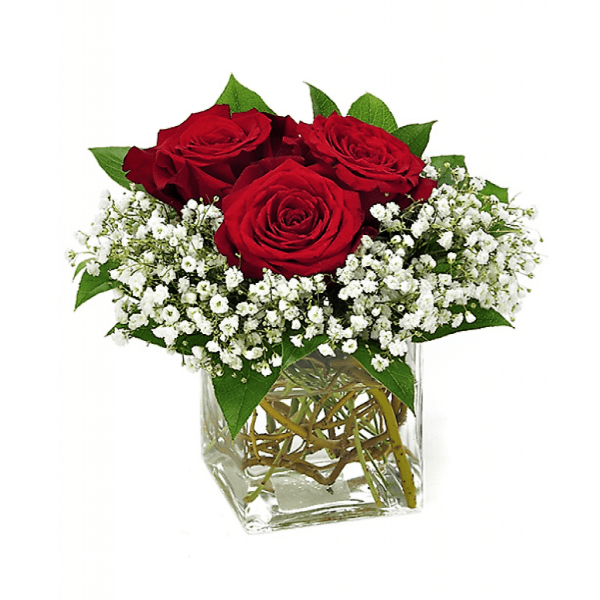 Red roses in a clear square vase with white baby's breath