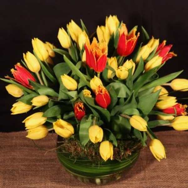 Bowl of Tulips