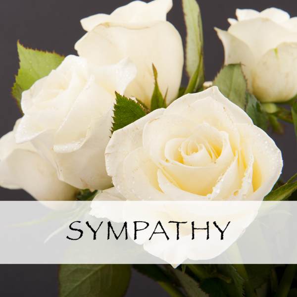 Sympathy Hanging Spray