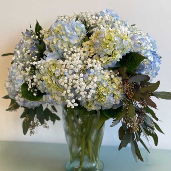 Blue hydrangea bouquet in a glass vase with white filler flowers