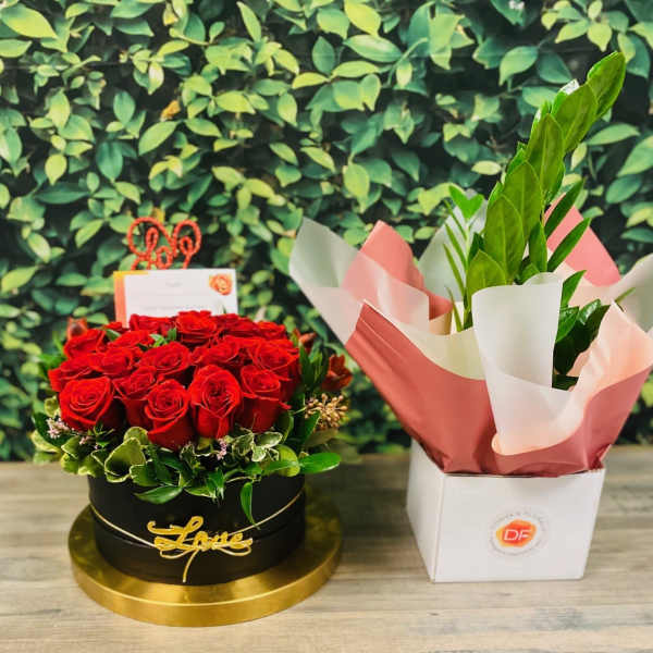 Bloomsical Box with Breathe Easy Plant and Personalized Card