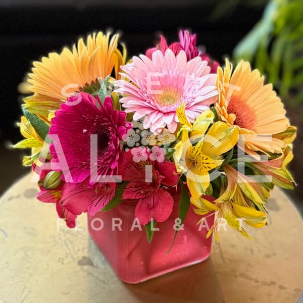 Colorful gerbera daisy arrangement in a pink square vase