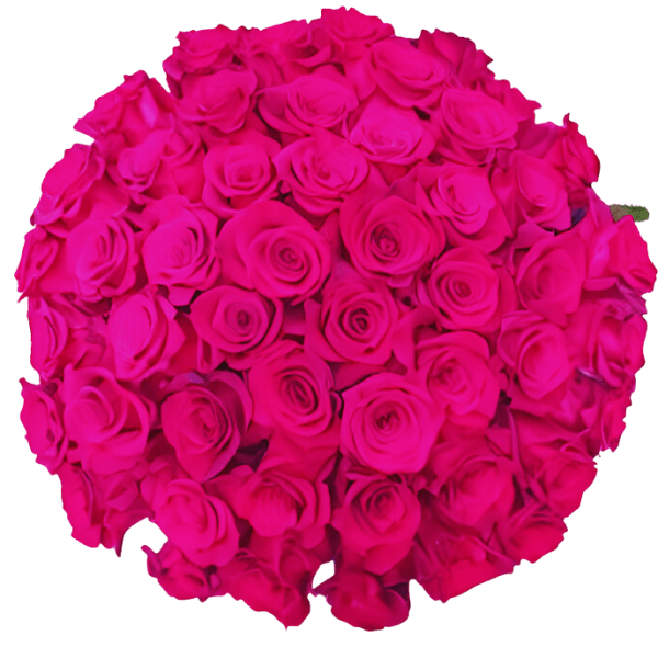 The Luxe Romance - 50 Long-Stem Pink Roses by Donya's Florals