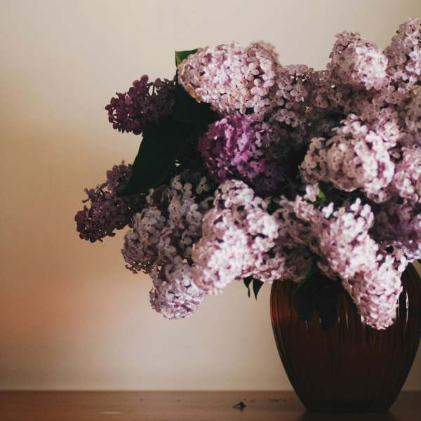 Lilac bouquet in a dark vase