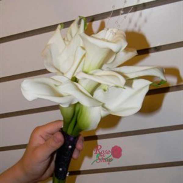 Handheld bouquet of white calla lilies with a dark wrapped stem