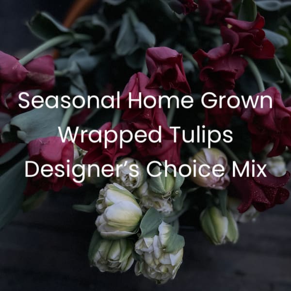 Wrapped Seasonal Mixed Local Tulips