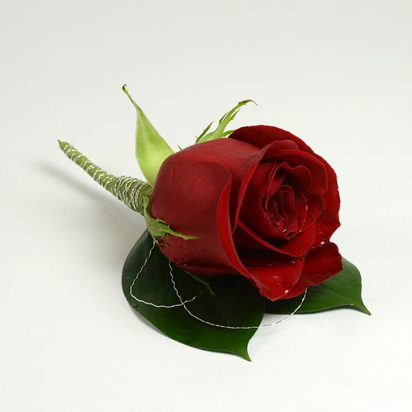 Single red rose boutonniere with green leaves