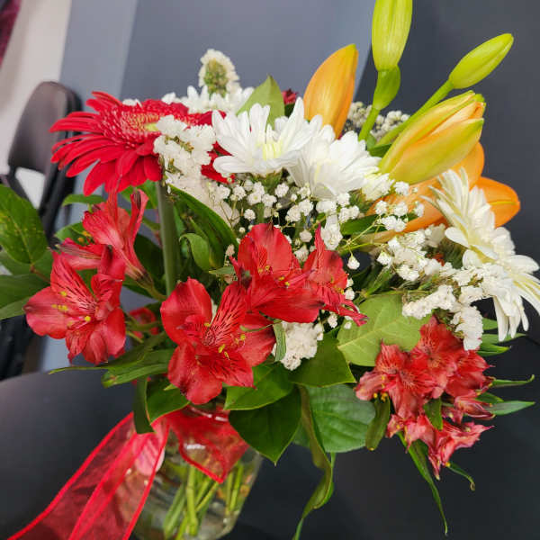 Lily's astromelias Dasis estates