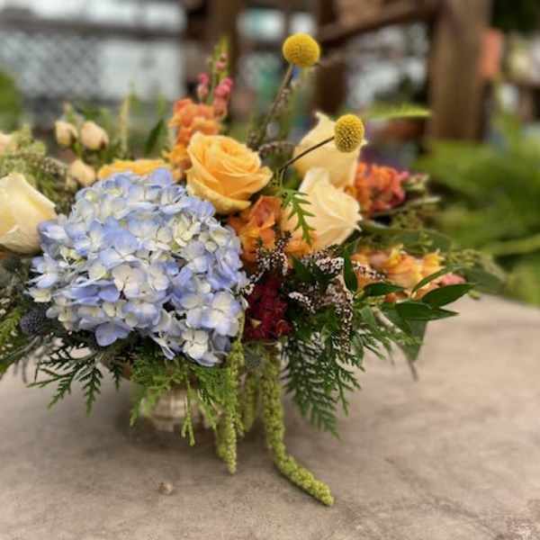 Blue Skies & Sunshine