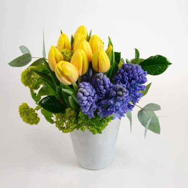 Yellow tulips and purple hyacinths in a white vase