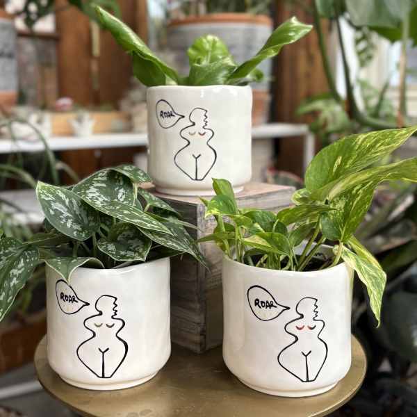 Three potted houseplants in white illustrated ceramic pots