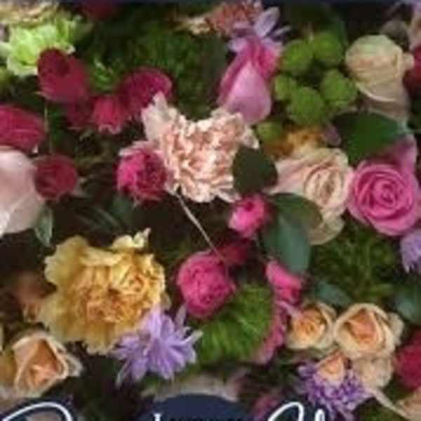 Luxury Designer’s Choice