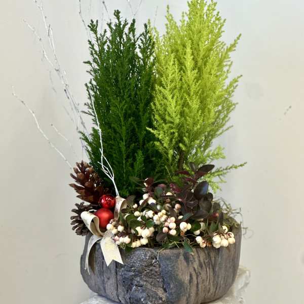 Christmas Classics Collection by Westford Florist