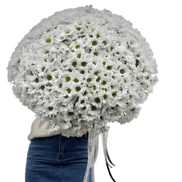 Large Bouquet of Daisies