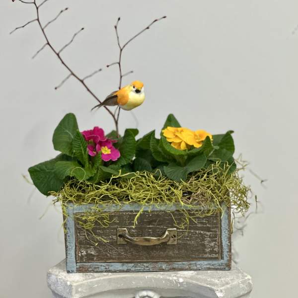 Country Treasure Box Garden by Westford Florist Art by Veny