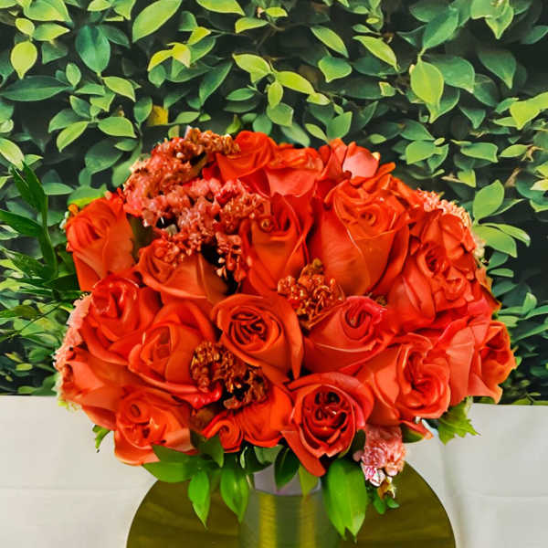 Two Dozen Red Roses with Luxe Gift Wrap and Personalized Card