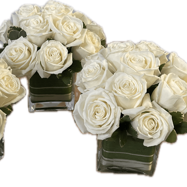 Three white rose arrangements in square glass vases
