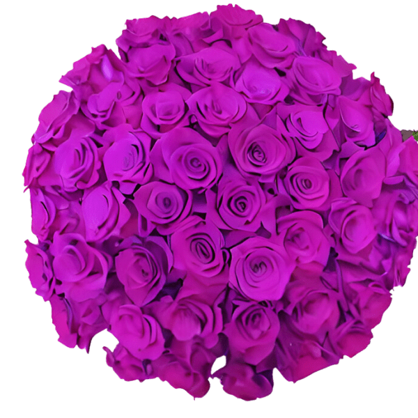 The Luxe Romance - 50 Long-Stem Purple Roses by Donya's Florals