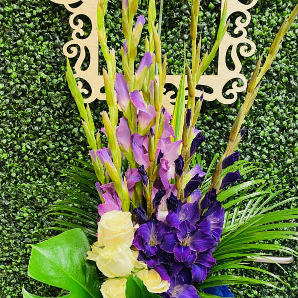 Purple Pleasures Gladiolus