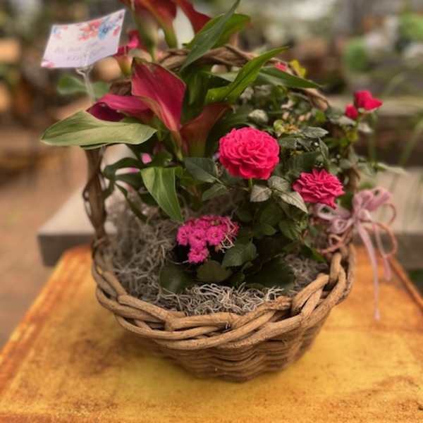 Islands in the Stream