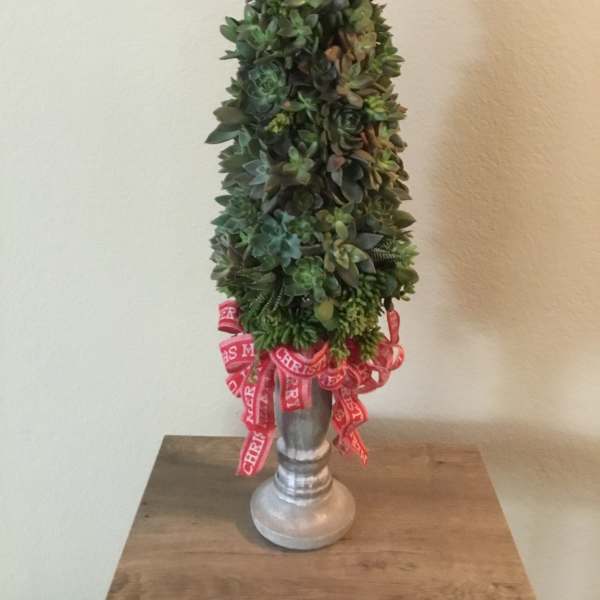 Succulent Christmas Tree
