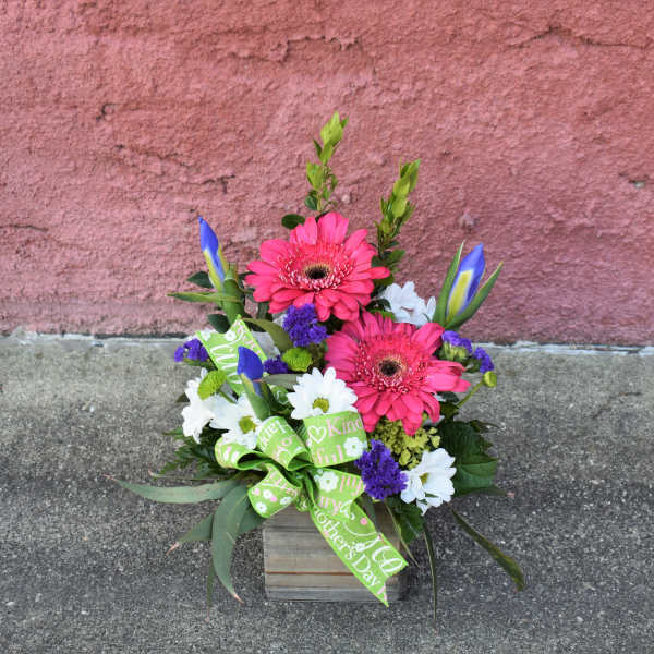Pink gerbera daisy arrangement in a wooden box with a green ribbon