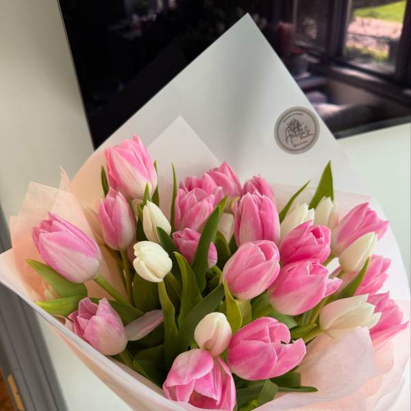 Bouquet of pink and white tulips wrapped in pale paper