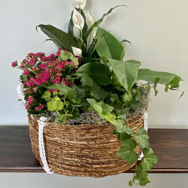 Flowering Plant Basket