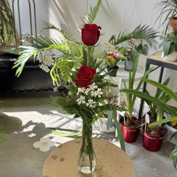 Tall glass vase with two red roses and white filler flowers